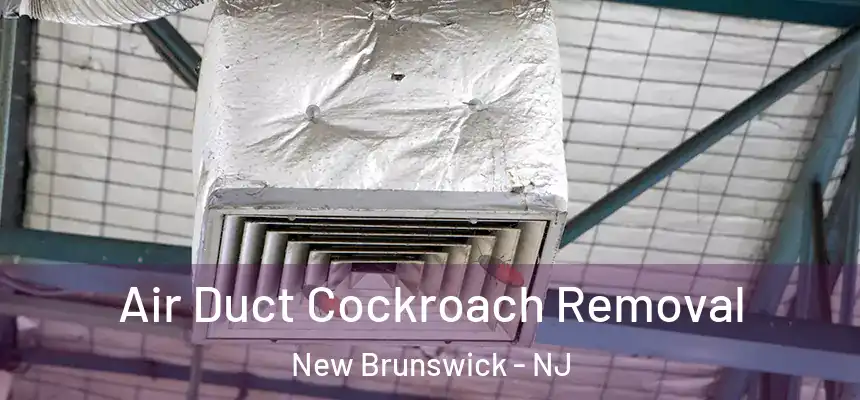  Air Duct Cockroach Removal New Brunswick - NJ