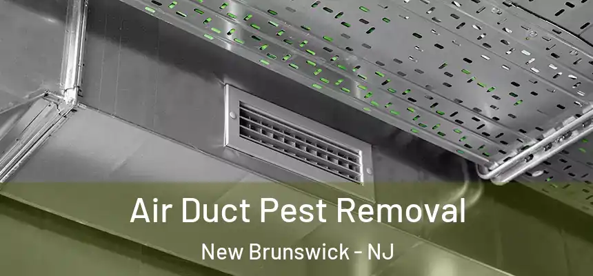 Air Duct Pest Removal New Brunswick - NJ