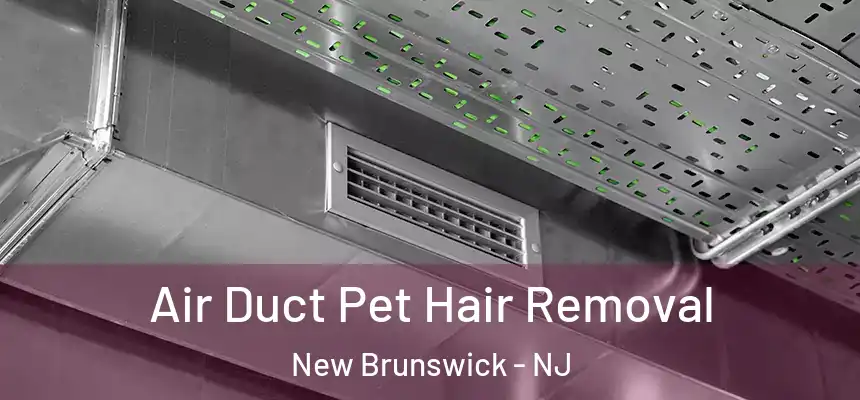  Air Duct Pet Hair Removal New Brunswick - NJ