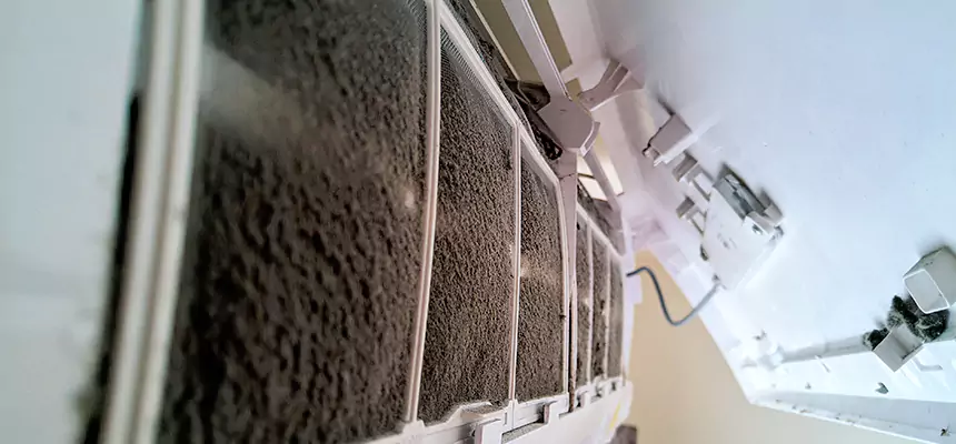 Preventive Air Duct Bacteria Removal in New Brunswick