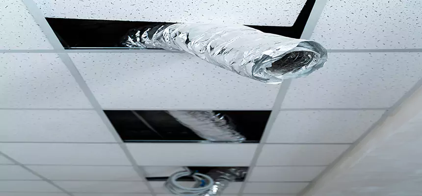 Our Air Duct Pet Hair Removal Services in New Brunswick, NJ