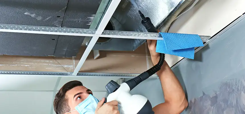 Our Air Duct Rodent Removal Services in New Brunswick, NJ