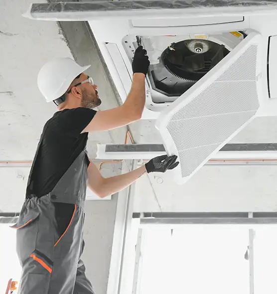 About Air Duct Rodent Removal in New Brunswick, NJ