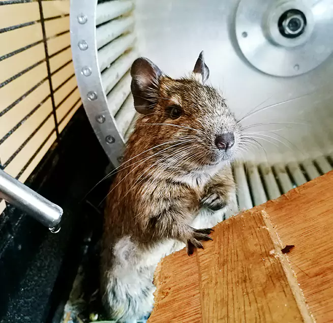 Why Homeowners & Businesses Trust Us New Brunswick, NJ?